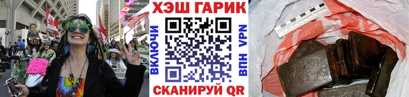 Купить закладки  Долгопрудный  Гашиш Изолятор 