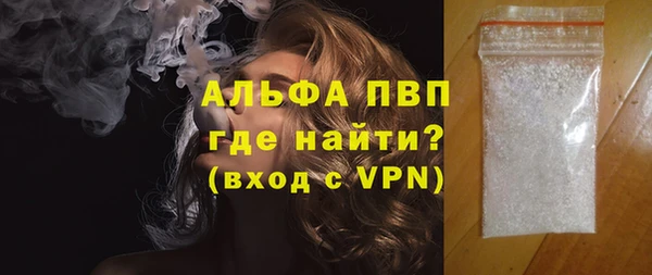 прущие грибы Коряжма