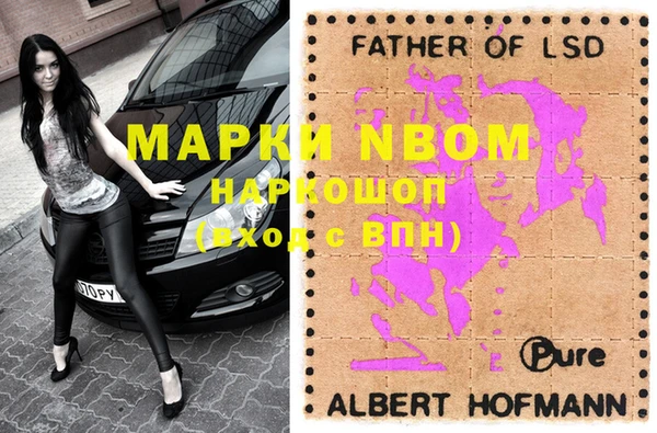 прущие грибы Коряжма