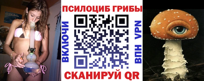 Псилоцибиновые грибы Magic Shrooms  Купить  Долгопрудный 